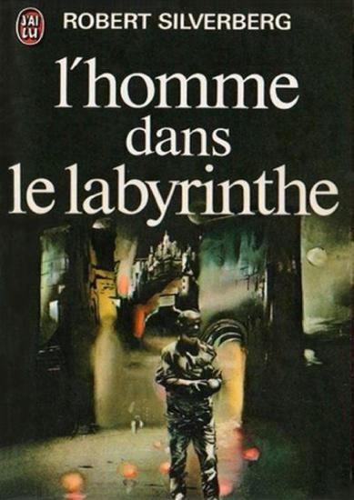 L'homme dans le labyrinthe