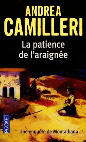 La patience de l'araign&eacute;e
